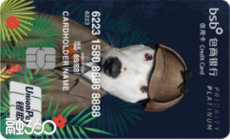 PETS ROCK主题白金卡-侦探汪 PETS ROCK主题白金卡-侦探汪